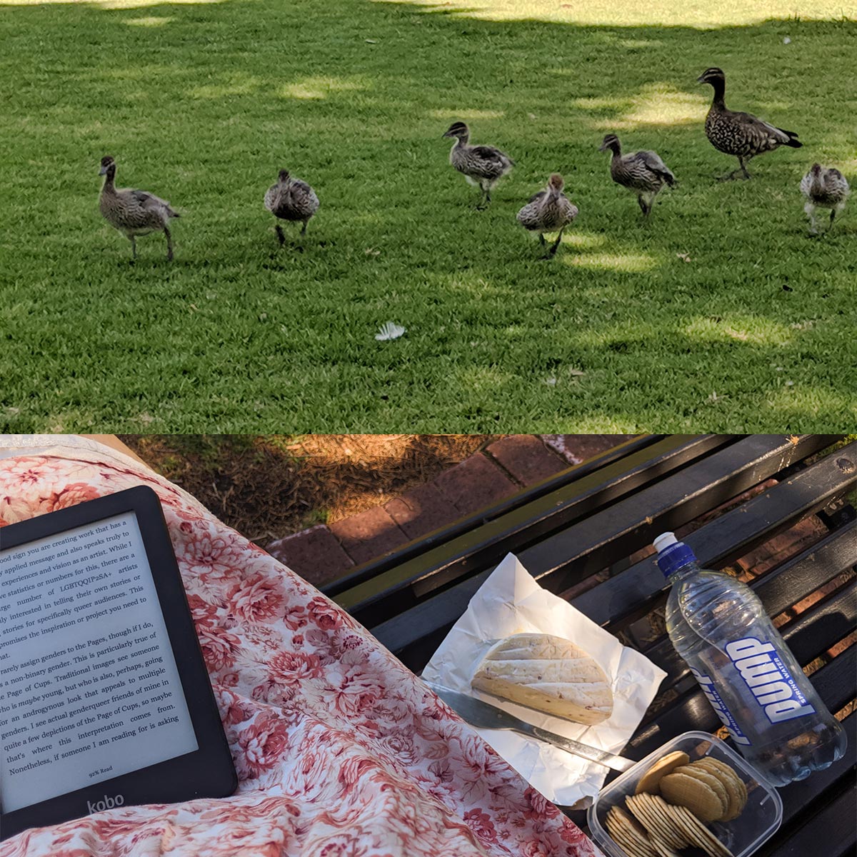 an image of ducks and ducklings, and my Beltane picnic