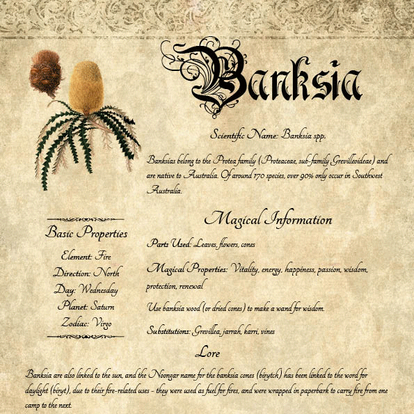 Grimoire page for Banksia